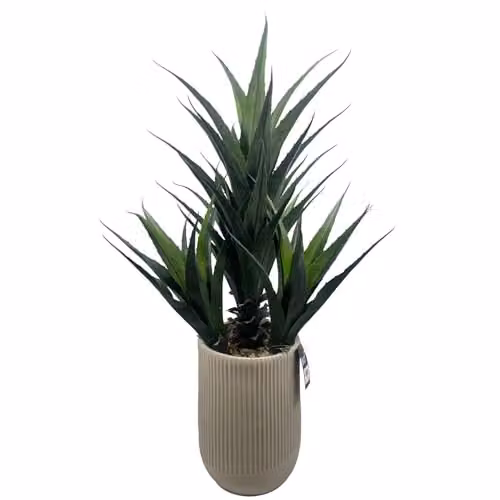 Leaf UK Green Agave Tropical Succulent Artificial Plant Display in Concrete Pot, Height: 110 cm, Width: 70 cm, Depth: 70 cm – 2