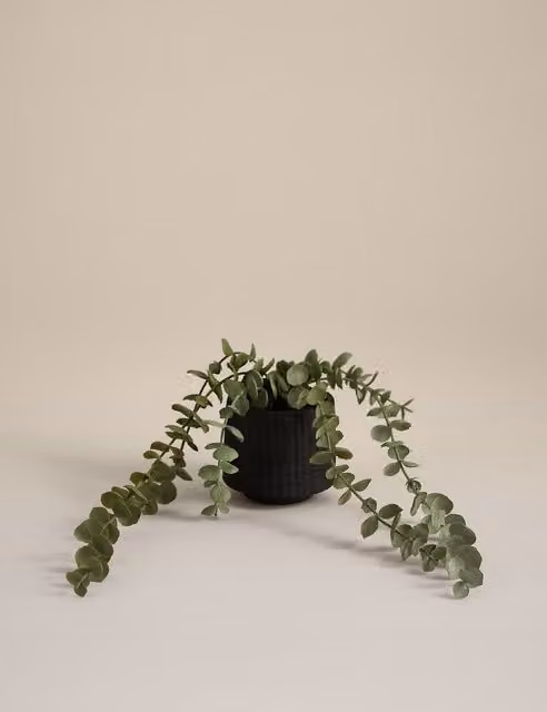 Moss & Sweetpea Artificial Trailing Baby Plant in a Black Textured Ceramic Pot