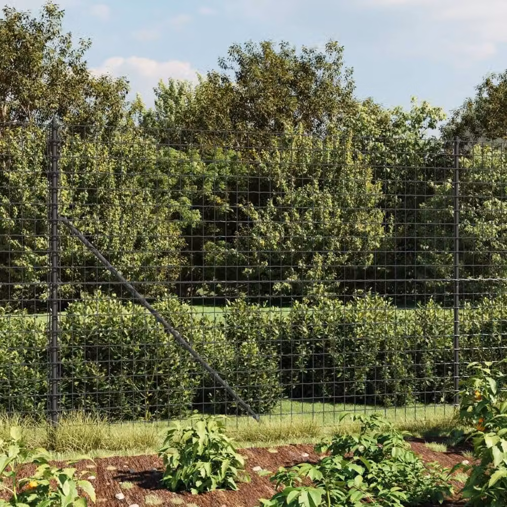Berkfield Home Anthracite and Black PVC Coated Galvanised Steel Wire Mesh Fence – 2