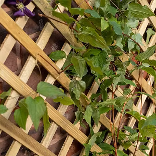 Forest Garden Brown Wooden Trellis Planter with Tub, H 137.0 cm x W 80.0 cm x D 36.7 cm – 3