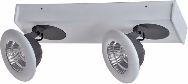 Italux Lighting Catalina Modern Twin Ceiling Spotlight LED 3000K Warm White