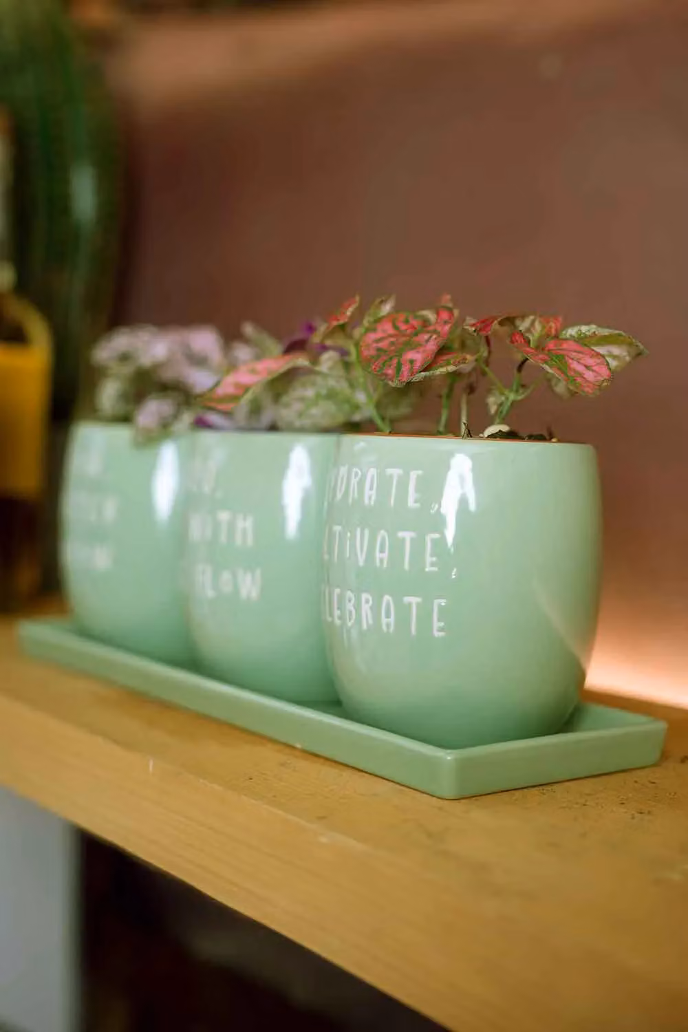 Upper Street Set of 3 Green Ceramic Planters with Tray – 2