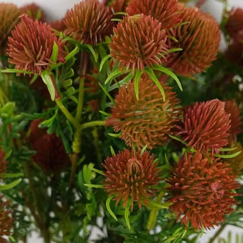Leaf Red Craspedia Artificial Floral Stems, Pack of 6, Height: 55 cm – 3