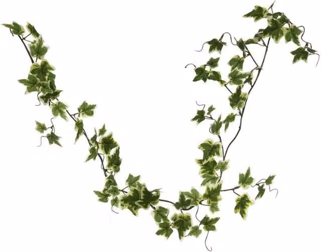 KDMD Green Ivy Leaf Hanging Party Garland, 1.5m