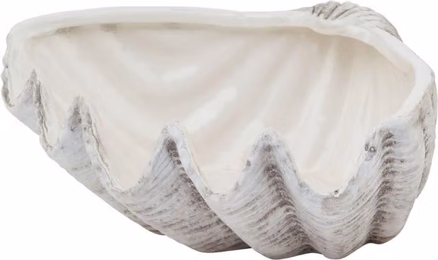 Hill Interiors Siren Ceramic Shell Bowl in White