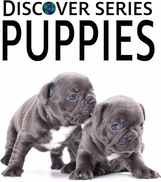 Xist Publishing Puppies Paperback Book in Multicolour and Grey