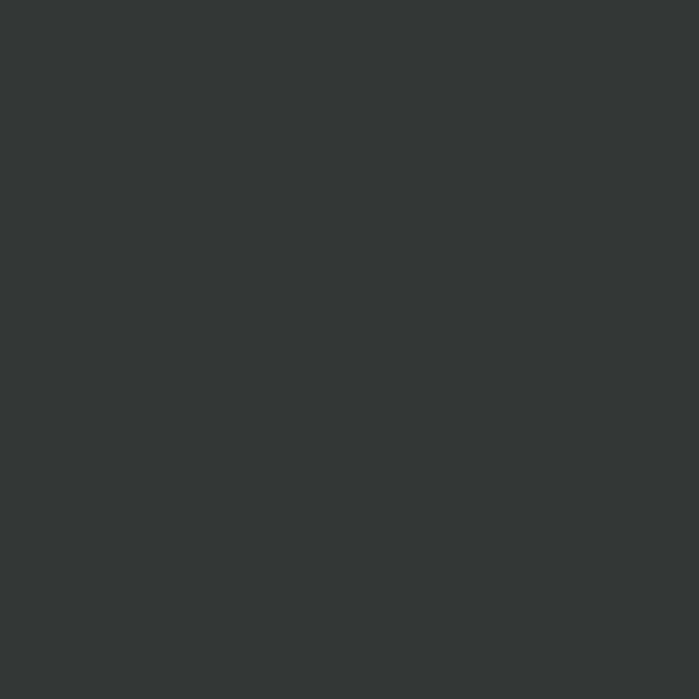 House of Hackney Serpentine Paint Swatch in Grey