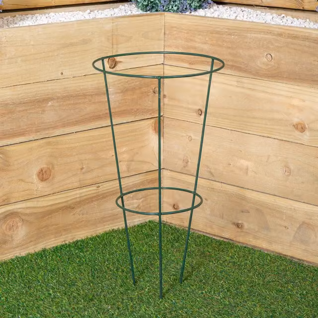 Tom Chambers Urban Green Conical Garden Plant Support Ring, Diameter: 30 cm