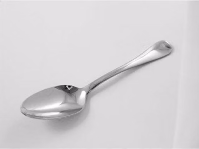 Orsina Sl Islet Polished Silver Stainless Steel Dinner Spoon for Adults
