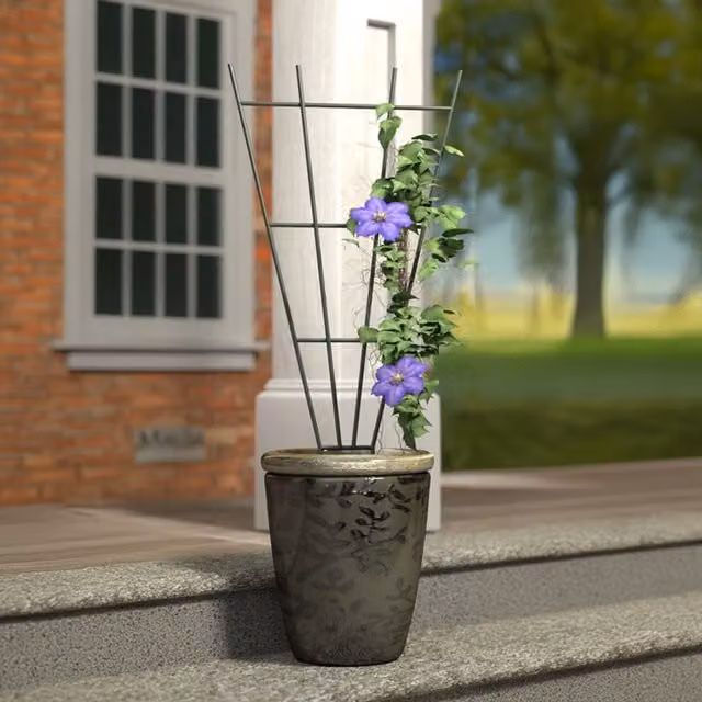 Primrose Green Metal Fan Design Potted Plant Support Trellis, Height: 91 cm