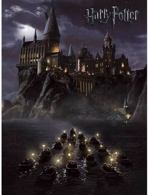 Harry Potter Hogwarts Graphic Canvas Print in Grey
