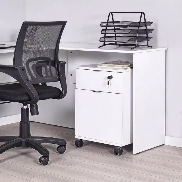 FORGEVIO White Lockable Mobile Office Cabinet with 1 Door and 1 Drawer