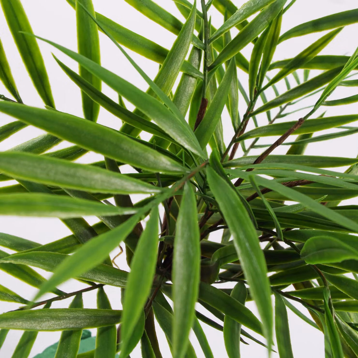 Leaf Design UK Green Artificial Bamboo Palm Bush Plant, Height: 40 cm – 4
