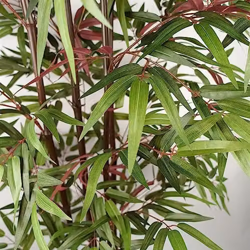 Leaf Design UK Potted Artificial Tropical Tree in Green, Red and Black, H 180 cm x W 80 cm x D 80 cm – 2