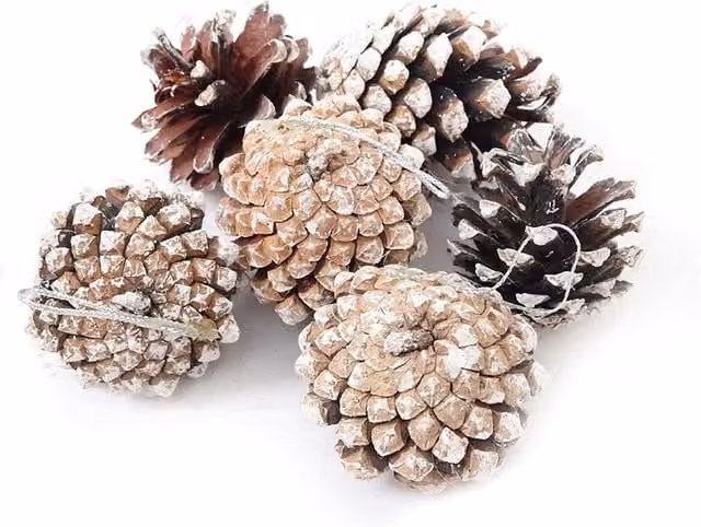 Living and Home 30pcs Real Pine Cone Christmas Tree Hanging Ornaments in Brown and White