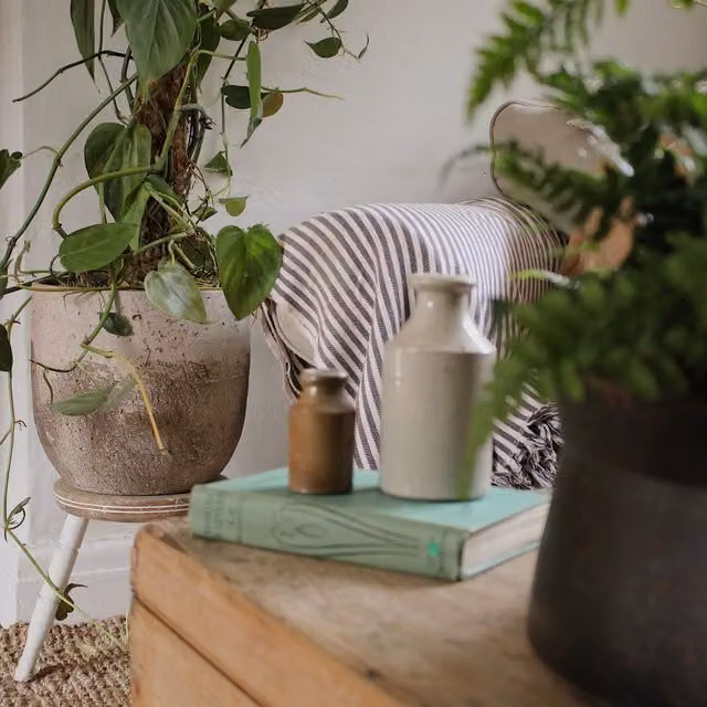 Ivyline Albero Ceramic Indoor Planter, Beige, H: 26 cm, D: 28 cm
