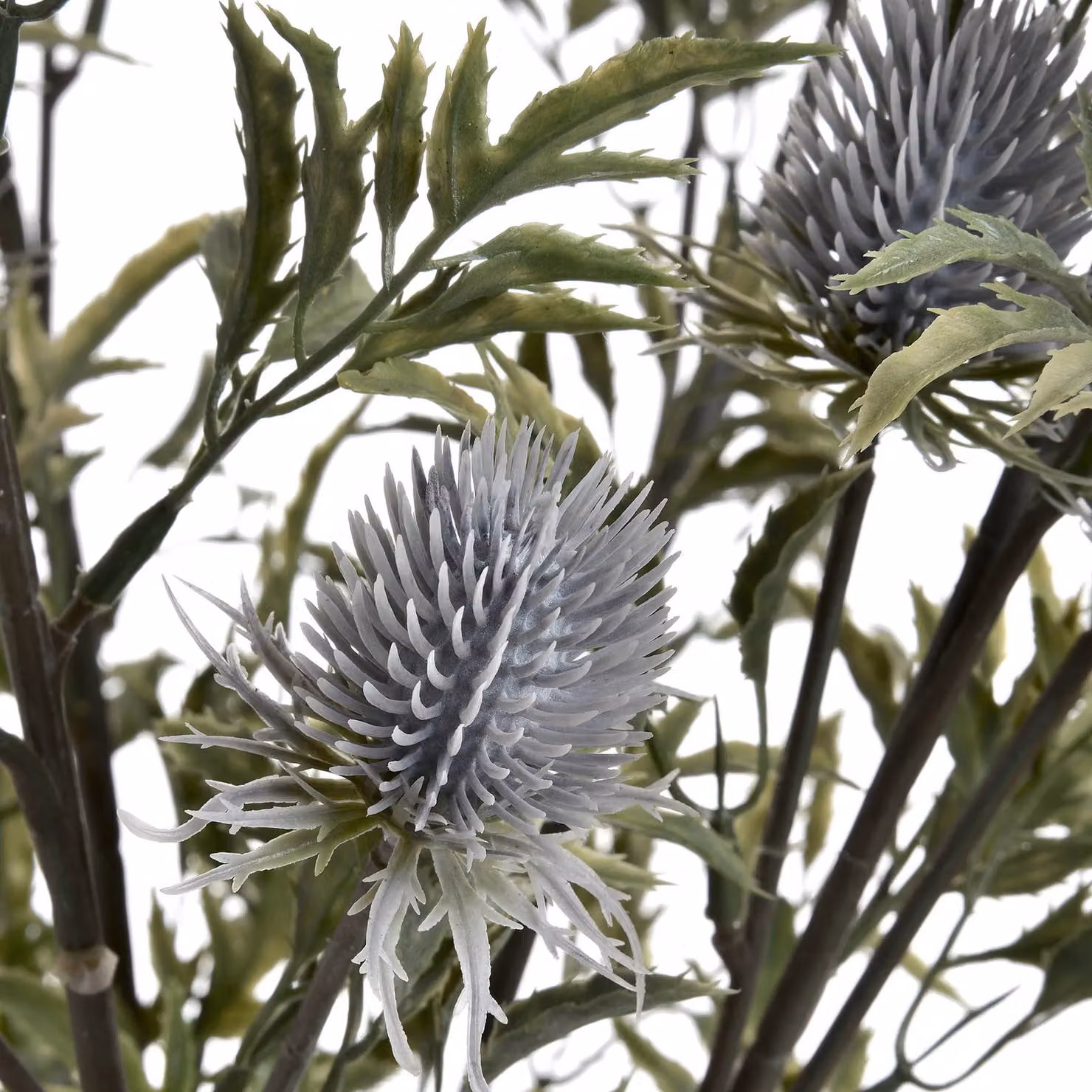 Hill Interiors Artificial Eryngium Thistle in Blue, H 76 cm x W 24 cm x D 24 cm – 2