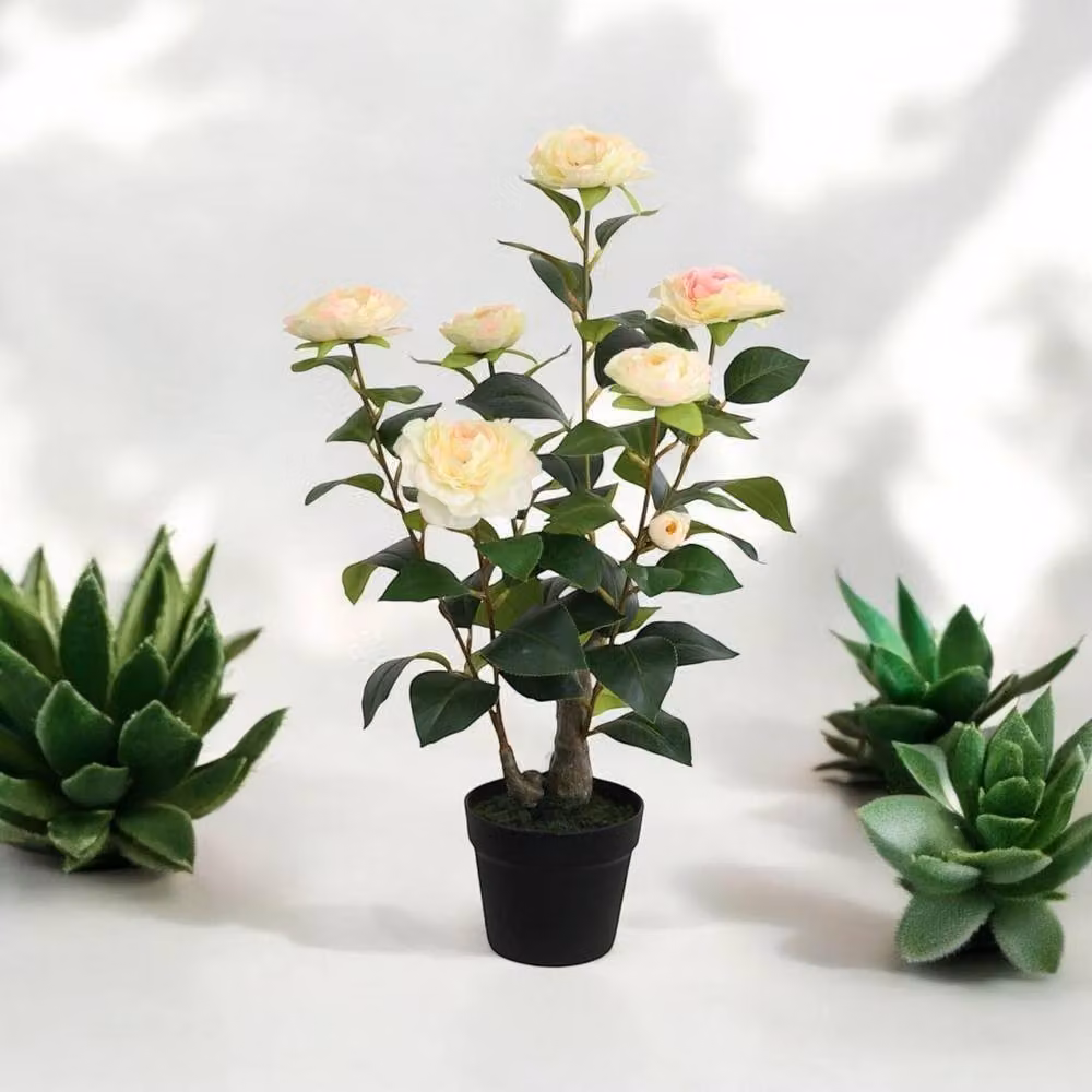 Minster Artificial Camellia Potted Plant in Green, W: 50 cm, D: 50 cm, H: 58 cm – 2