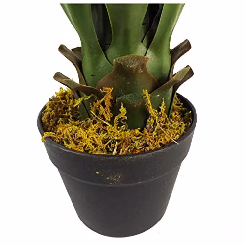 Botanik Green Artificial Potted Yucca Tabletop Plant, Height: 55 cm – 3