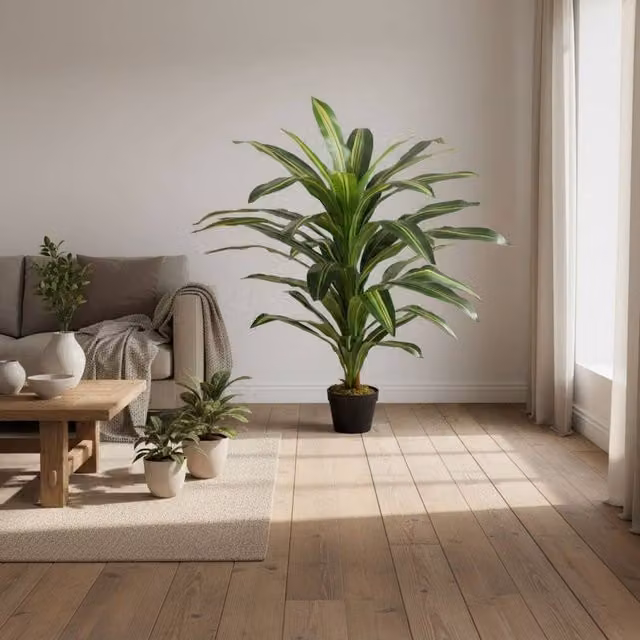 Wyld Haus Pala Artificial Dracaena Plant in Green Decorative Pot, Height: 110 cm