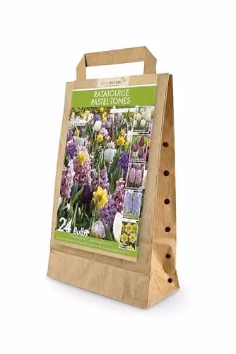 GreenBrokers Ratatouille Pastel Tones Spring Flower Bulbs, 24 Bulbs in Purple, Blue, Gold and Multicolour – 1