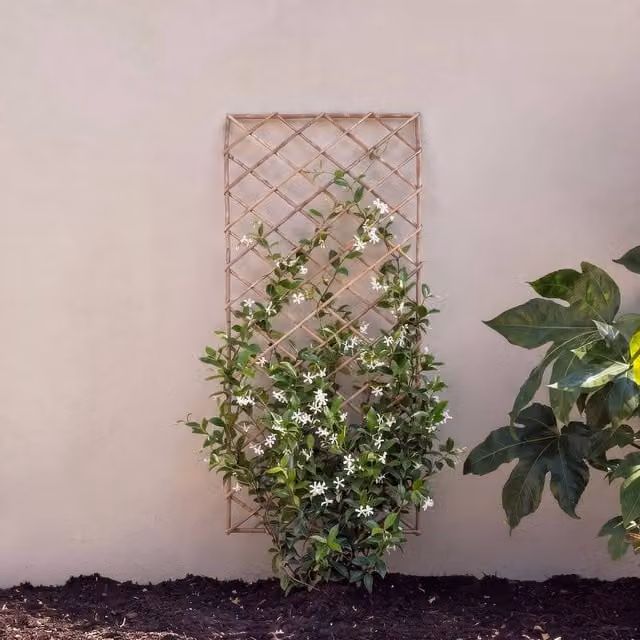 Primrose Square Natural Willow Garden Trellis Panel, Brown, H 180 cm x W 60 cm