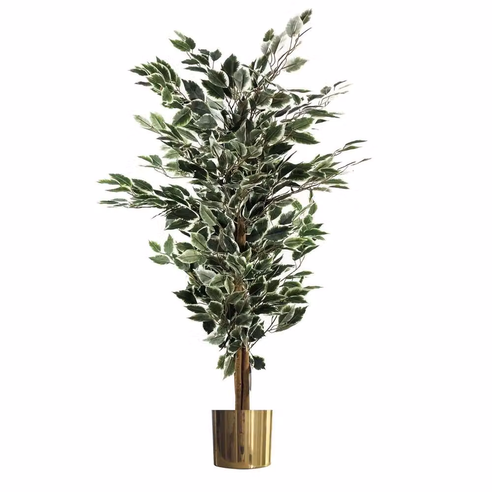 Botanik Leaf Artificial Variegated White and Green Ficus Tree with Gold Planter, Height: 130 cm, Width: 60 cm, Depth: 60 cm – 3