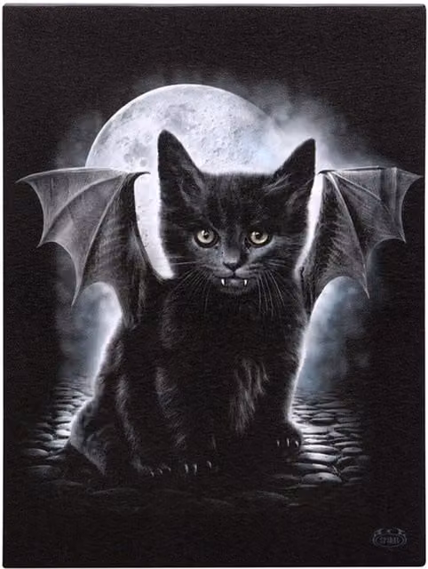 Spiral Direct Bat Cat Gothic Canvas Plaque, Black, W: 25.0 cm, H: 19.0 cm
