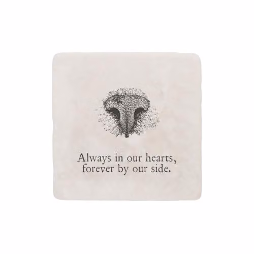 Zeller Present Cherished Cat Print Marble Coaster Gift Box in Black – 3