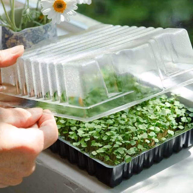 Marshalls Garden Micro Veg Gro-Tray Set in Transparent and Brown Plastic