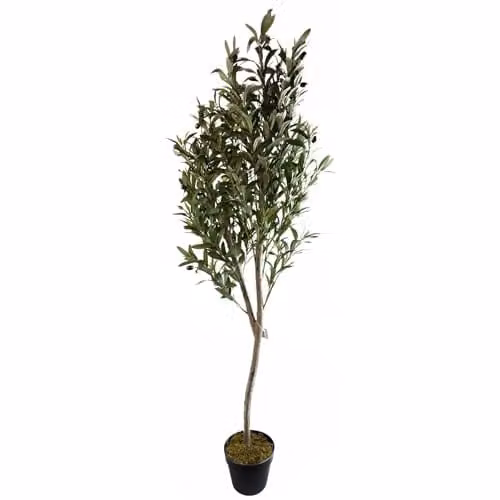 Leaf Design UK 180cm Artificial Olive Tree with Wooden Trunk and Black Plastic Pot in Green – 1