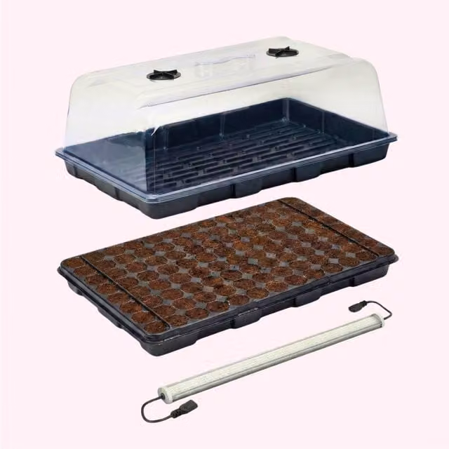 Plants By Post 26W LED Hard Top Propagation Kit with 104 Plugs in Black and Transparent