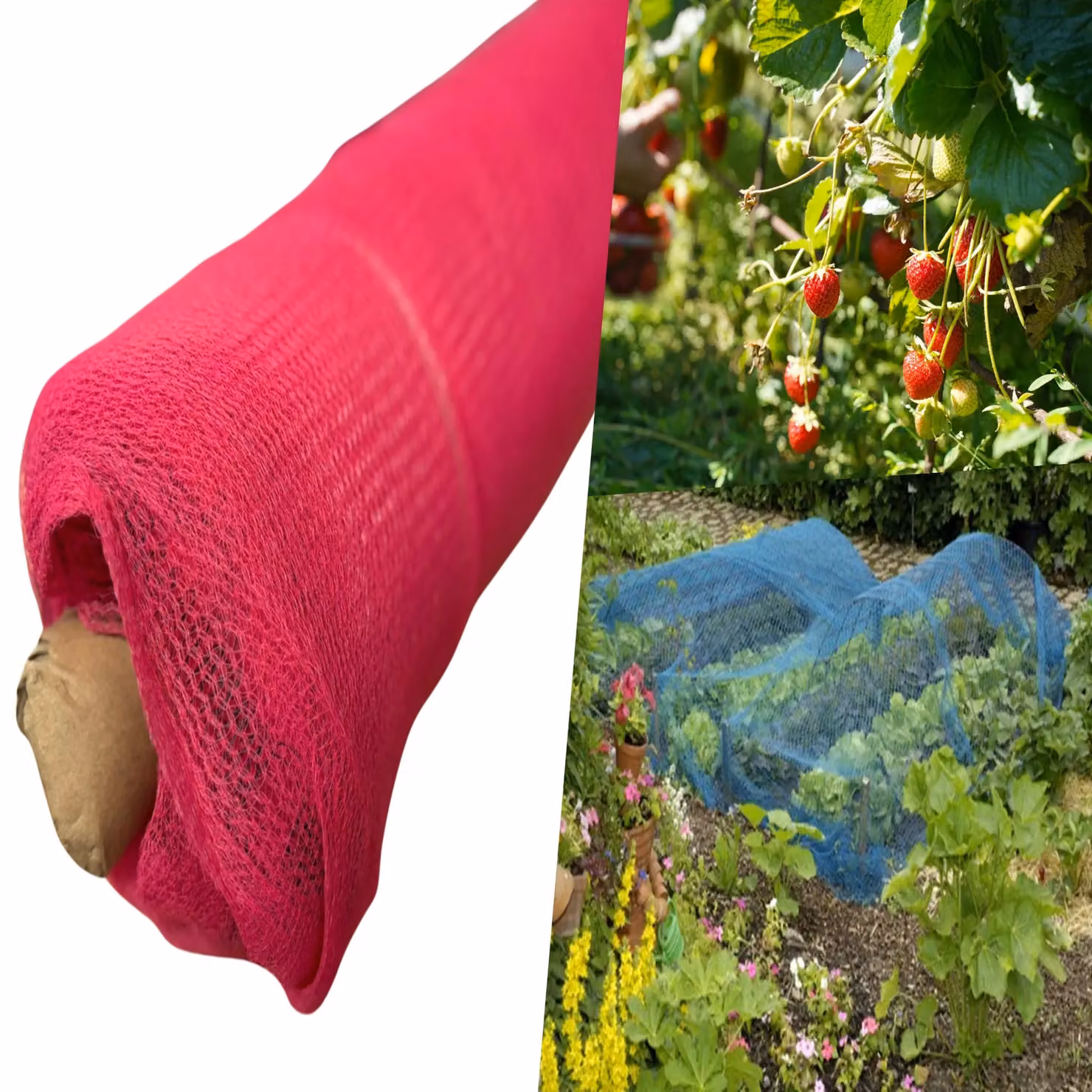 Pegdev Pink UV-Stabilised Strawberry Netting for Fruit Plants and Vegetable Gardens, 20m – 2