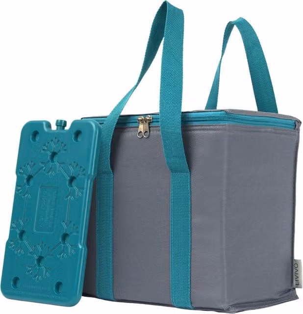 LIVIVO Insulated Cooler Bag with Free Freezer Block in Grey
