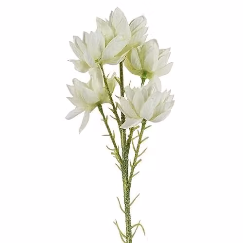 Leaf White Starflower Artificial Flower Stem, 60 cm