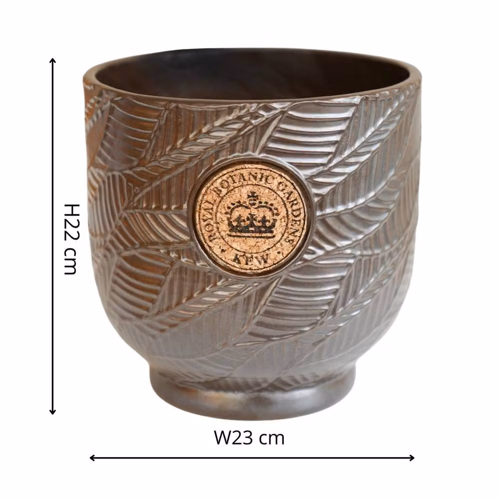 Ivyline Kew Leaf Embossed Charcoal Cork Plant Pot in Grey, Ceramic, H: 22 cm, D: 22.5 cm – 4