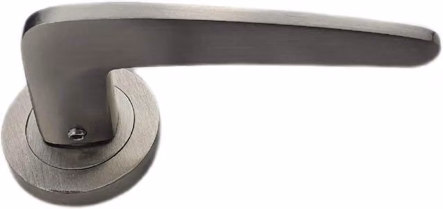 Golden Grace Brushed Silver Door Handles