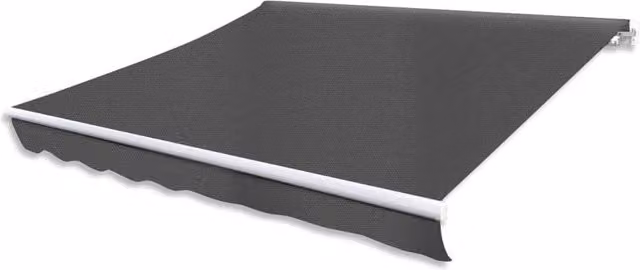Berkfield Home Manual Operated Folding Awning in Anthracite and Black, Width: 300 cm