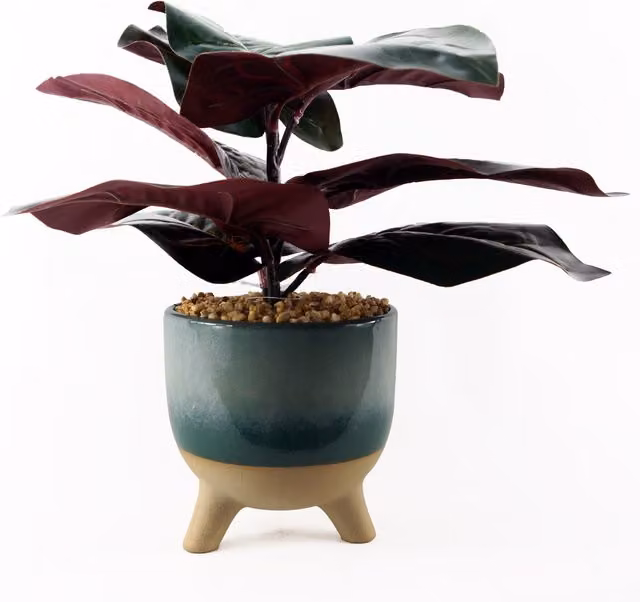 Artificial Ficus Potted Plant with Petrol Blue Ceramic Planter, Tabletop Size