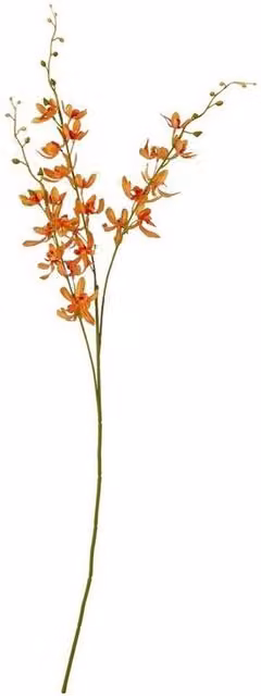 Lemon Pavilion Furniture and Decor Orange Cymbidium Orchid Spray, W24 x D10 x H95 cm