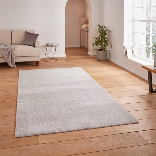 Terrys Modern Rectangular Washable Rug in Silver