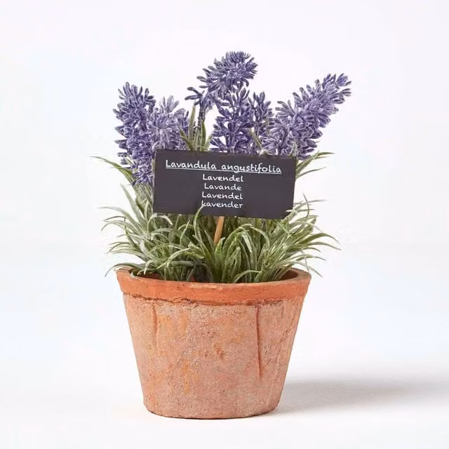 Homescapes Artificial Lavender Plant in a Round Terracotta Ceramic Pot, Purple and Green, H 15.5 cm x W 10.8 cm x D 10.8 cm