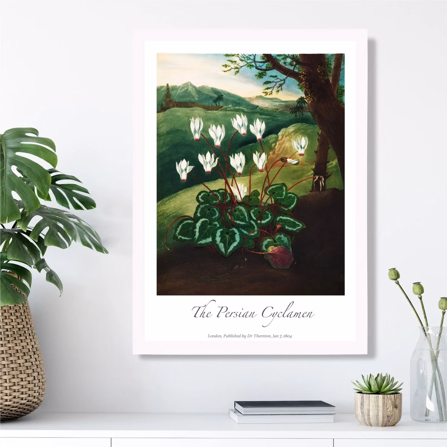 ARTZE Vintage Floral Cyclamen Flowers Framed Paper Poster in White and Green – 2