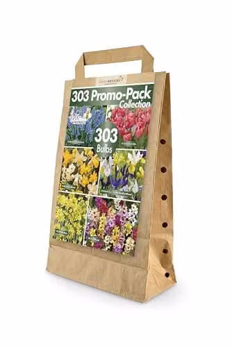 GreenBrokers 303 Mixed Spring Flower Bulbs Bee-Friendly Multicolour Autumn Planting Collection