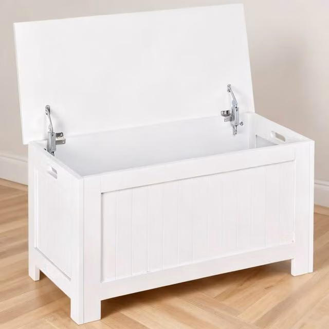 ERGOVEXA White Lift Top Storage Chest and Toy Box Organizer with Soft Close Lid