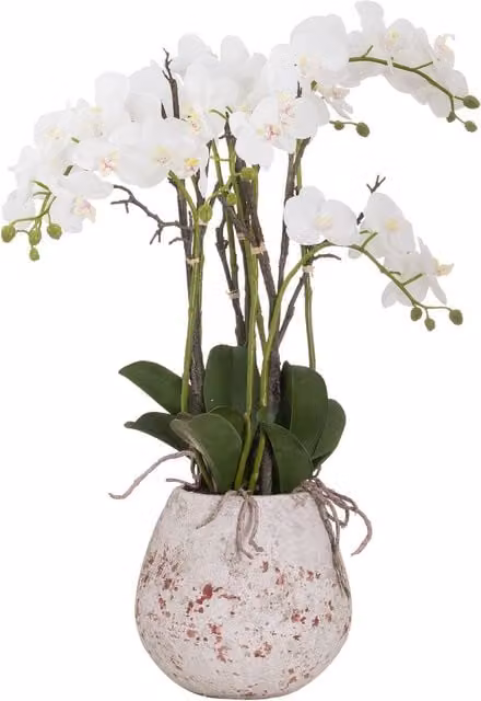 KDMK Large White Stone Potted Orchid with Roots for Tabletop Display