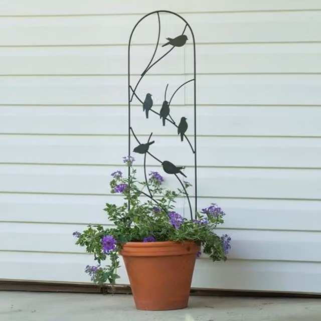 Primrose Black Metal Perching Birds Design Pot Trellis Support, Height: 101 cm