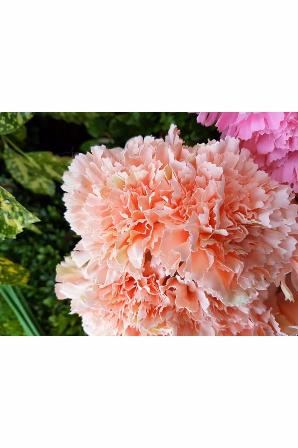 KDMD Natural Peach Carnation Bush in Orange – 2