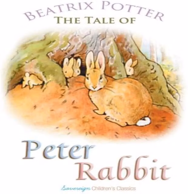 Beatrix Potter The Tale of Peter Rabbit Multicolour Paperback Book