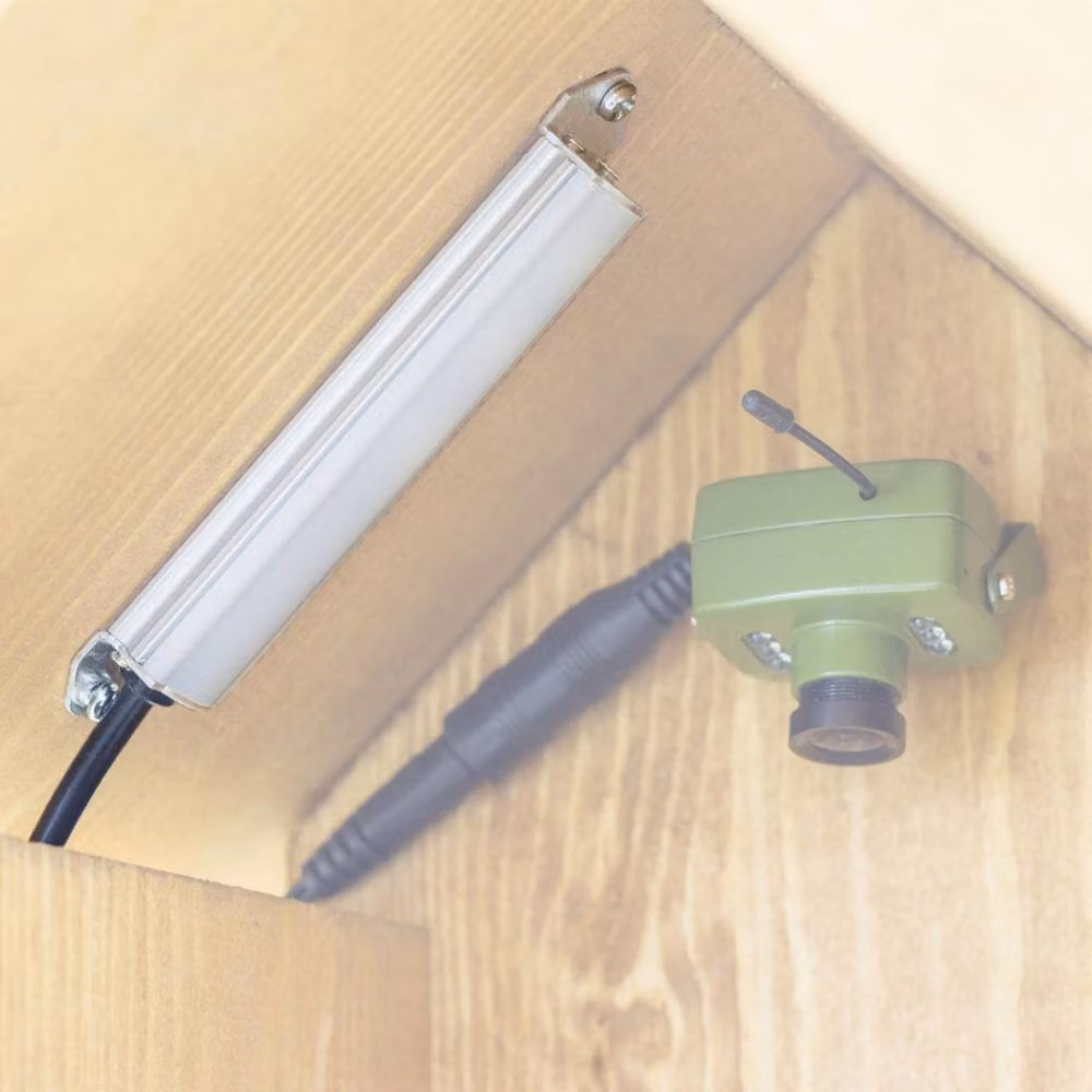 Green Feathers Daylight White LED Light for Nest and Bird Boxes with Inline 12V Connection – 3